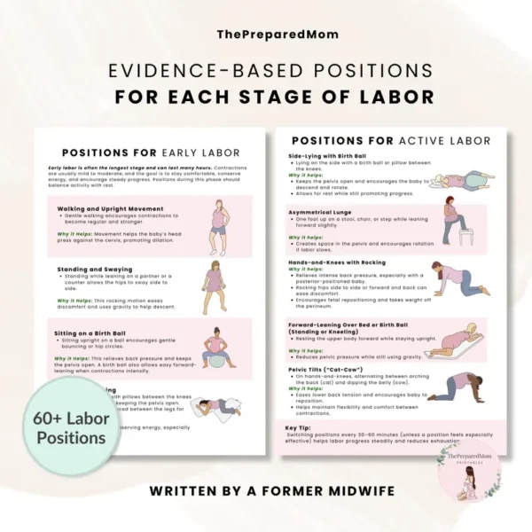 Labor Positions Guide – 60 Editable Canva & PDF Documents for Doulas ...